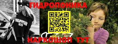 ALPHA-PVP Кандалакша