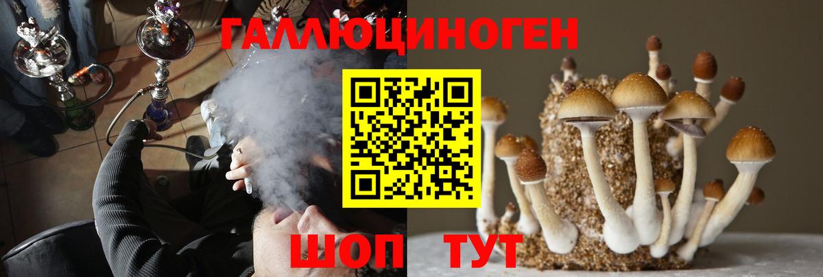 Галлюциногенные грибы MAGIC MUSHROOMS  Вход с VPN  Кудымкар 